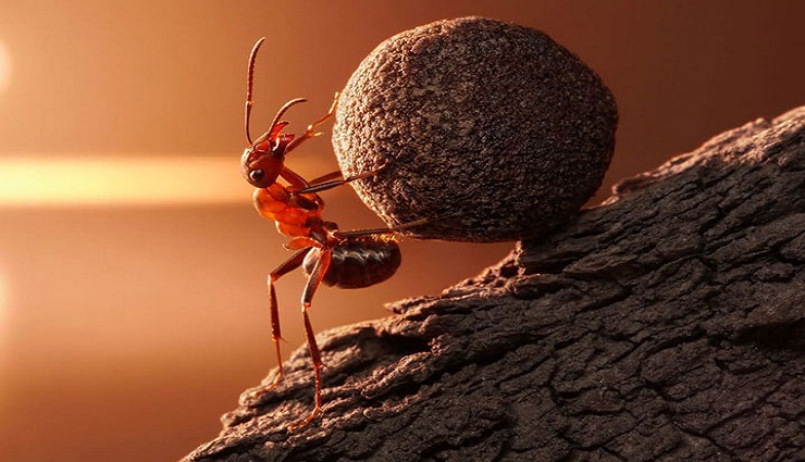 تاب آوری ،تاب آوری چیست و چه اهمیتی در زندگی دارد؟ ،تاب آوری چیست؟ ،تفاوت تاب آوری با دیگر اصطلاحات رایج