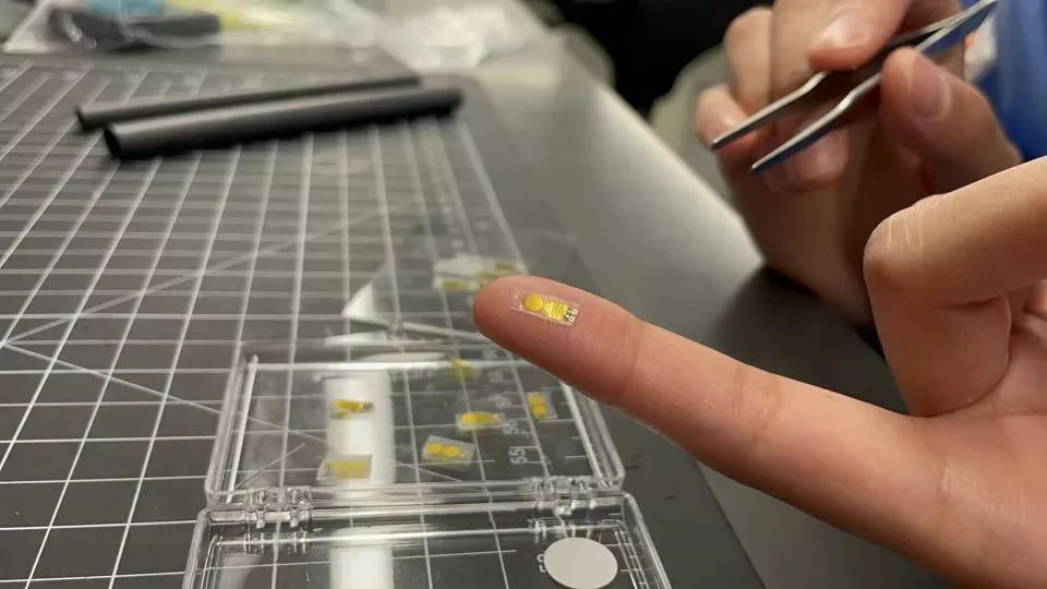 حسگر پایش سلامت عضو پیوندی