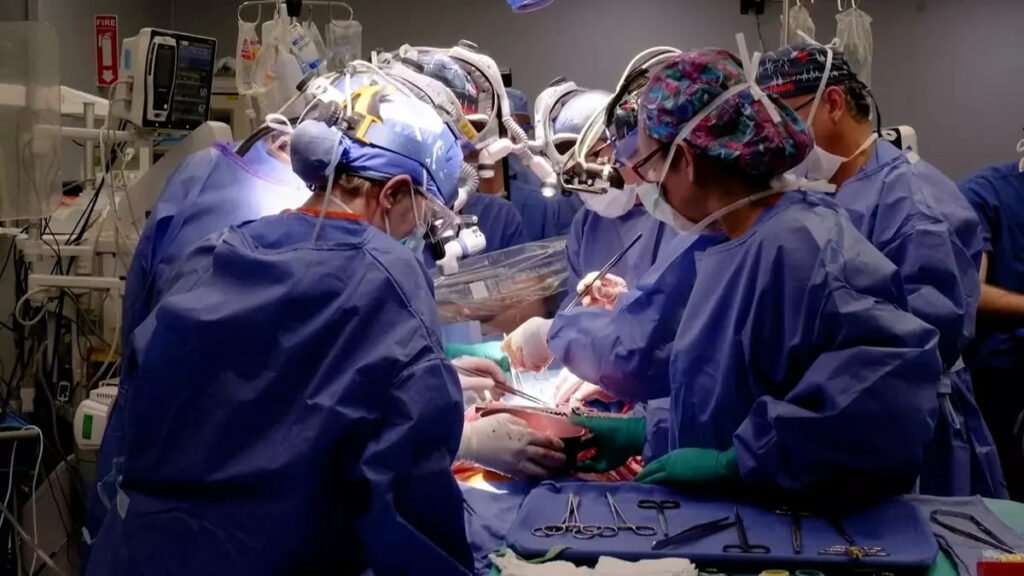 1698888874 666 دومین بیمار دریافت‌کننده قلب خوک به‌دلیل نارسایی قلبی درگذشت