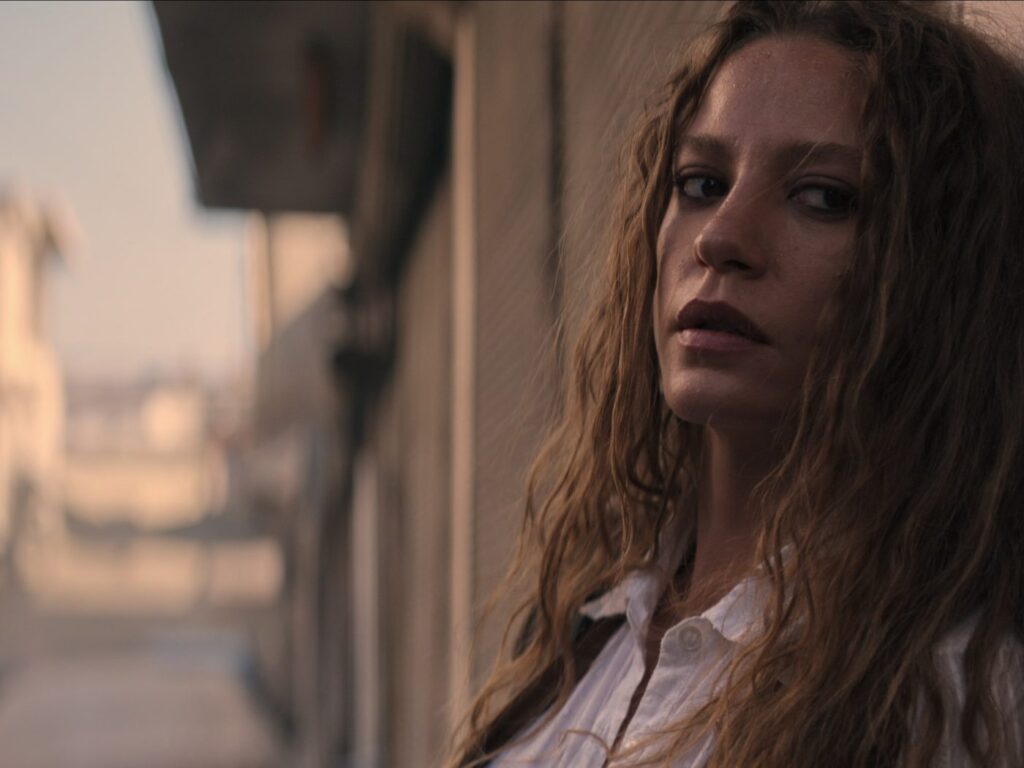 بهترین سریال های ترکی نتفلیکس 30 بهترین سریال های ترکی نتفلیکس