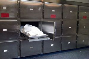 قتل بی‌رحمانه یک جوان بی‌گناه برای انقام‌جویی کورکورانه