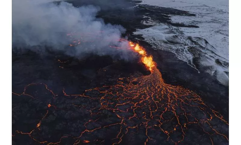 گیاهان از زمان فوران آتشفشان مطلع می باشند 6 گیاهان از زمان فوران آتشفشان مطلع می باشند.webp