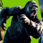 با ۳۰ انیمه ژاپنی برتر و سریالی تاریخ آشنا شوید_روشنفکر 171 ۱۲ فیلم تماشایی با چاشنی ماجراجویی در جنگل