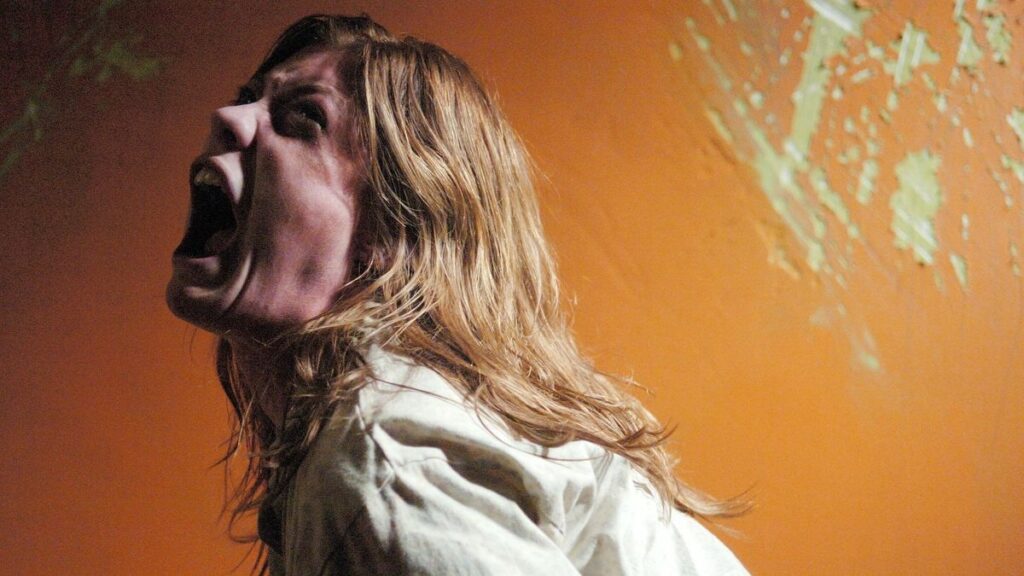 ۲۰ فیلم ترسناک که بر پایه داستان واقعی ساخته شدند_روشنفکر 99 The Exorcism of Emily Rose