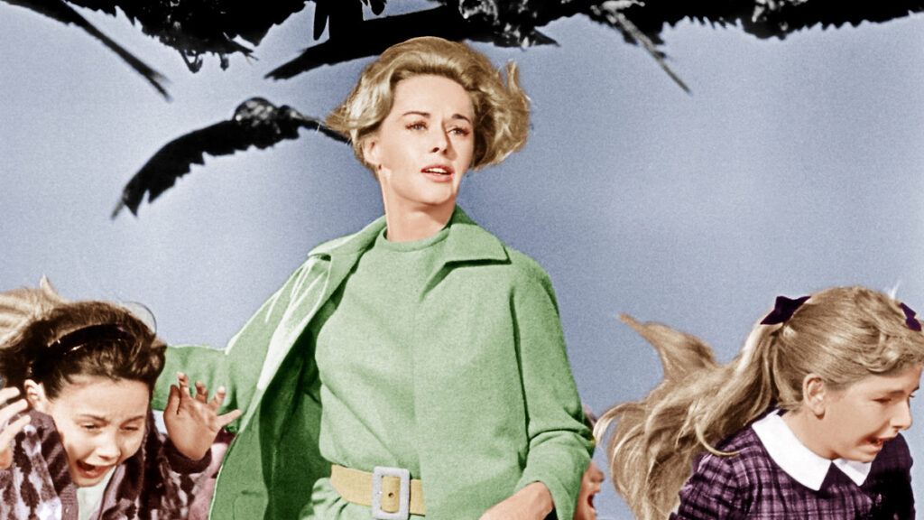 ۲۰ فیلم ترسناک که بر پایه داستان واقعی ساخته شدند_روشنفکر 97 The Birds