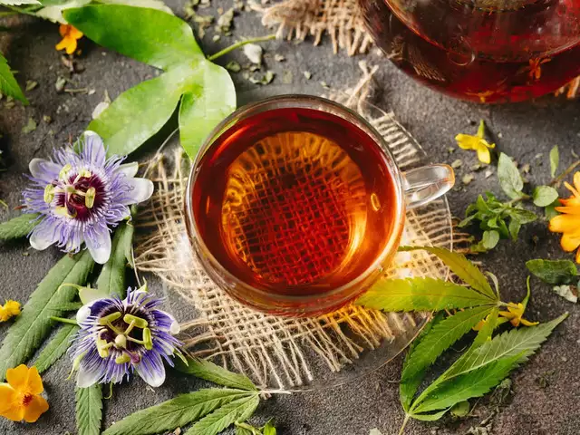 دمنوش های سودمند: ۱۲ دمنوش گیاهی سودمند که باید امتحان کنید!_روشنفکر 36 1742435379 554 دمنوش های سودمند ۱۲ دمنوش گیاهی سودمند که باید امتحان.webp