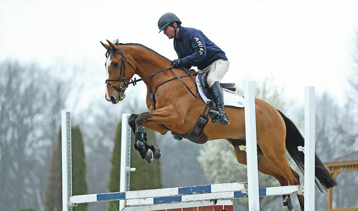 گران ترین ورزش های جهان؛ ۱۱ ورزش لاکچری و پرهزینه اما جذاب_روشنفکر 24 اسب سواری - گران ترین ورزش های جهان