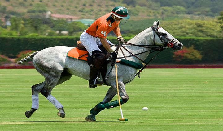 گران ترین ورزش های جهان؛ ۱۱ ورزش لاکچری و پرهزینه اما جذاب_روشنفکر 28 چوگان - گران ترین ورزش های جهان