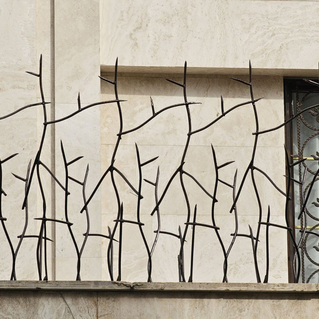 اگر به امنیت خانه خود اهمیت می دهید، باید حفاظ شاخ گوزنی را بشناسید 6 2