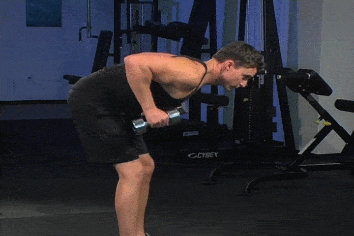 حرکات بدنسازی با دمبل؛ ۲۷ تمرین و انواع حرکات با دمبل_روشنفکر 72 ورزش با دمبل - کیک بک عضله سه سر بازویی