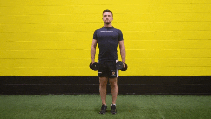 حرکات بدنسازی با دمبل؛ ۲۷ تمرین و انواع حرکات با دمبل_روشنفکر 73 ورزش با دمبل - حرکت بالابردن جانبی بازوها