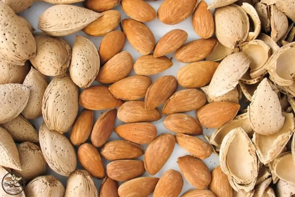 افت اسید معده با ۱۳ روش خانگی | برای افت اسید معده چه بخوریم؟_روشنفکر 43 افت اسید معده با ۱۳ روش خانگی برای افت.webp