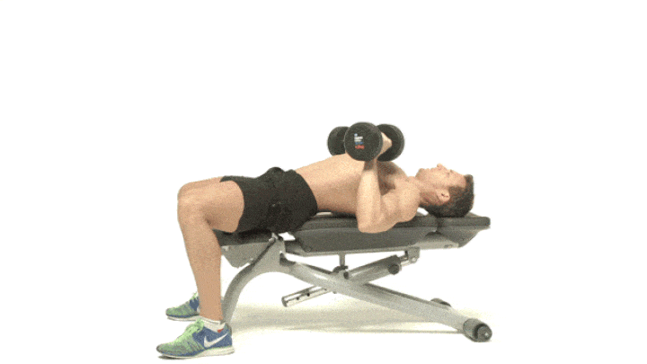 حرکات بدنسازی با دمبل؛ ۲۷ تمرین و انواع حرکات با دمبل_روشنفکر 63 ورزش با دمبل - پرس نیمکت