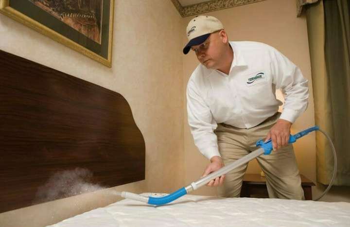 از بین بردن ساس | این حشره از چه چیزی بدش می آید_روشنفکر 13 ساس - خلاص شدن از شر ساس