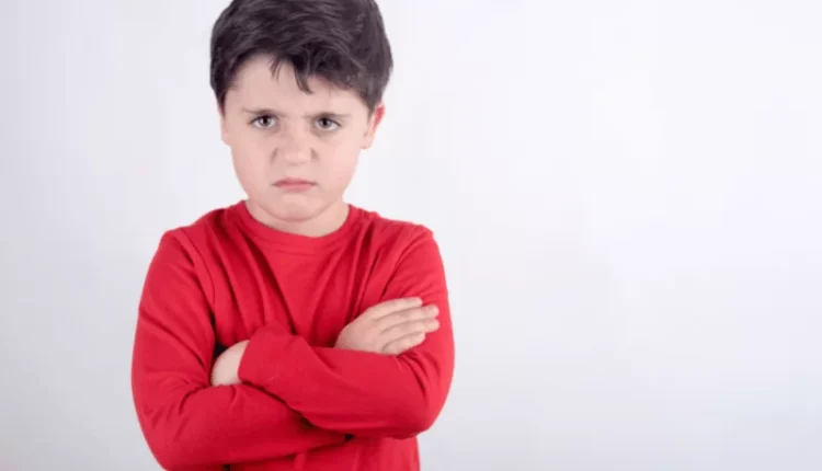 ۱۵ بازی برای کنترل خشم کودکان؛ چطور به کودکمان مدیریت خشم را آموزش دهیم؟_روشنفکر 12 1757890788 621 ۱۵ بازی برای کنترل خشم کودکان؛ چطور به کودکمان مدیریت.webp