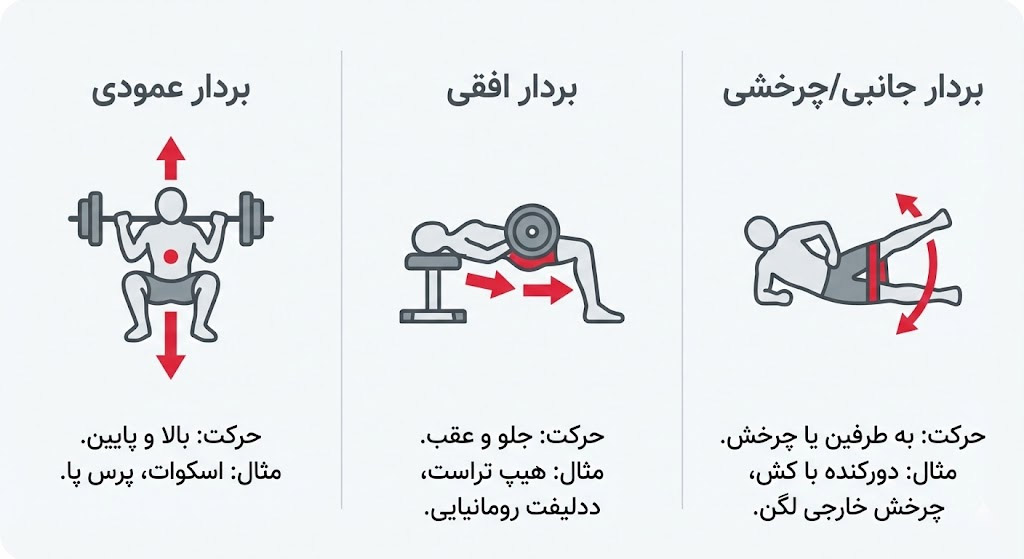 1764291883 229 راهنمای کامل فرم‌دهی باسن ۲۰۲۵ ۱۵ ورزش باسن برای داشتن