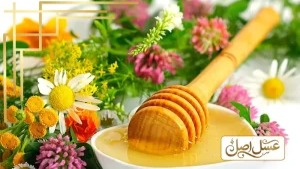آیا عسل گران‌تر همیشه عسل بهتری است؟